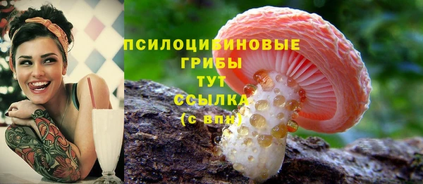 синтетический гашиш Сосновоборск