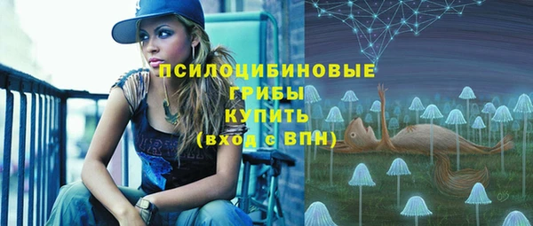 дурь Сосновка