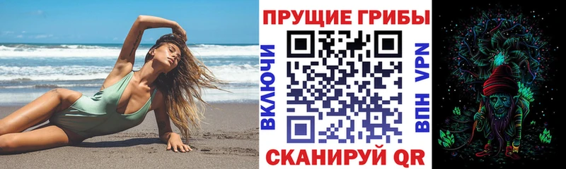 Купить  Сергач  Галлюциногенные грибы Psilocybe 